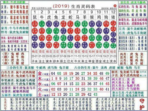 十二生肖配对玄学大起底