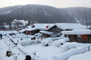 雪乡旅游攻略：冬日里的快乐之旅
