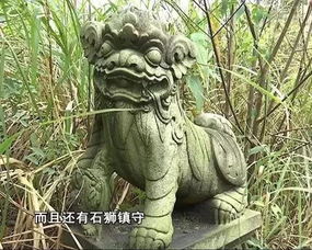 初遇：墓碑旁闪烁的诡异光芒