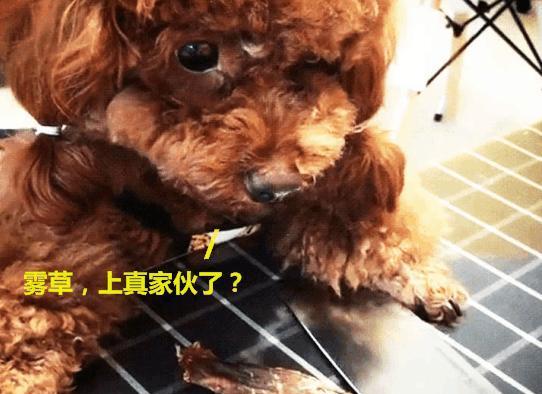 哇塞！潍坊也太超前了吧！