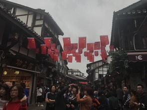 沉重庆K687山城列车：一场让你尖叫的“心跳级”山城体验