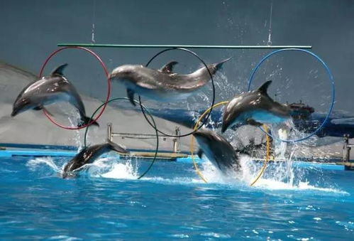 团购优惠？呵呵哒！