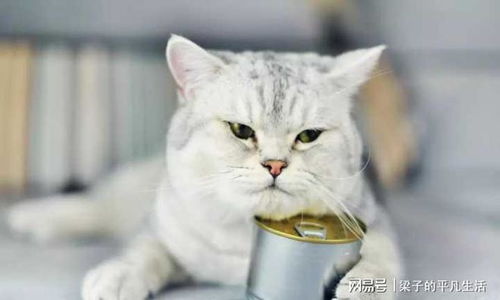 5. 用动漫/影视角色命名