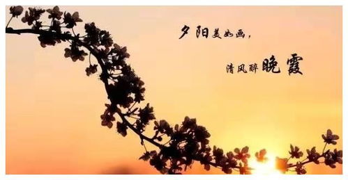 算命人的爱情观是怎样的？他们的爱情会是什么样的呢？