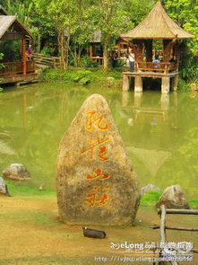 二、西双版纳：热带雨林里的“空调”