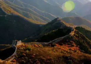 交通方式大比拼：哪种死法更痛快