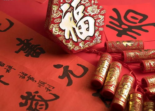 定制化建议（随心所欲）