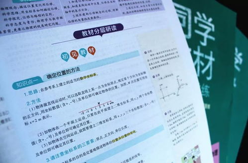 宁晋风水师教材中，有哪些风水知识是初学者必须掌握的？