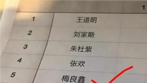 个性化命名：胡姓女孩名字的挑选之道