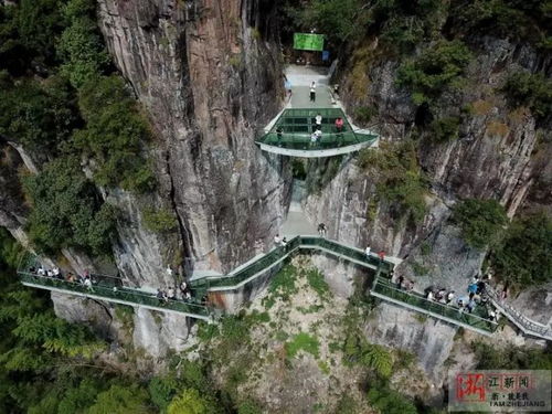 那个被叫Zuo晨曦的东西到底是个啥