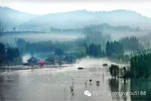 机械轰鸣声中的灵魂独白