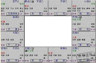 紫微斗数关键要素大揭秘