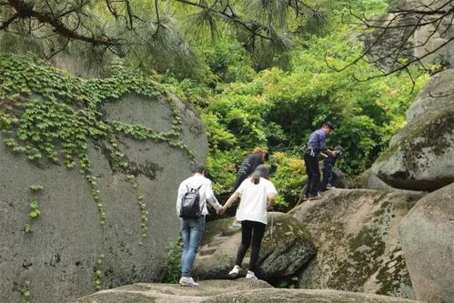 巨石山：石头开会