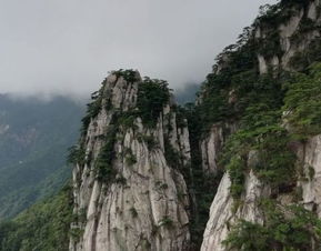 信阳：一个被茶叶洗脑的城市
