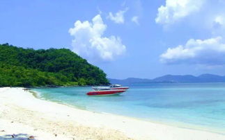 重复的噪音与破碎的梦