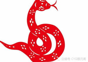 属蛇人2026年全年运势和各月运势具体内容是什么？