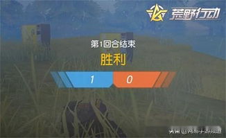 2026年天气预警：去韩国小心被雷劈！