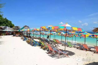 不得不说的旅行小插曲