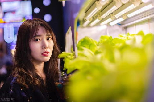 当星座撞上命运：那些被生活暴打却死皮赖脸活下来的家伙们