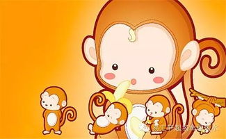 三、84年属猴人，今年事业运势大揭秘！