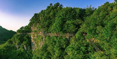 巴山大峡谷门票价格大揭秘！你想知道的都在这里
