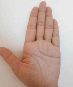 三、手掌厚软得像棉花糖手指细长得像葱白