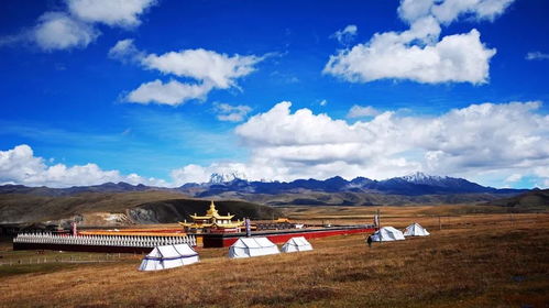 入住与文化初体验
