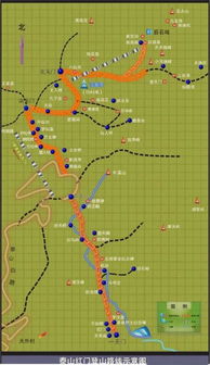 路线二：左侧小径的“丛林探险”流