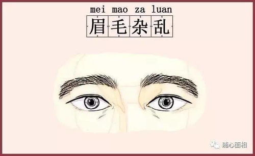 男人眼睛下三白是什么意思，对命理有何影响？