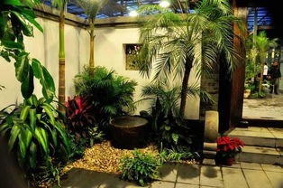 北方别墅庭院适合栽什么树,北方别墅庭院适合栽什么树