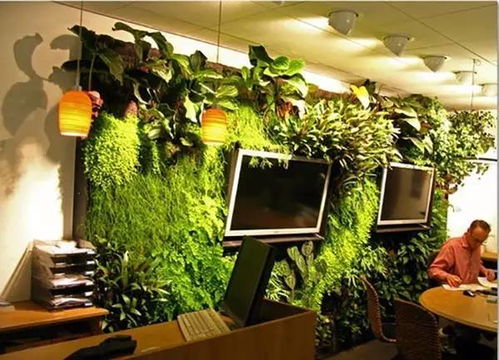 室外风水植物和花卉,风水与室外绿化搭配