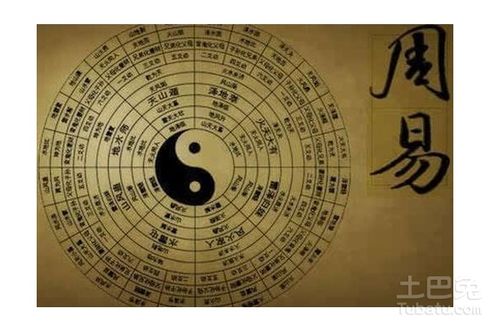 三、全十二生肖乱弹琴（噪声+情绪混杂）