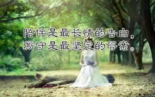 当断不断必受其乱：当代分手综合征大全