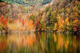 一、 春天到底是个啥玩意儿？反正我要去岱心湾了