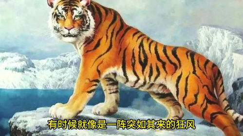 名字能改变命运？做梦！