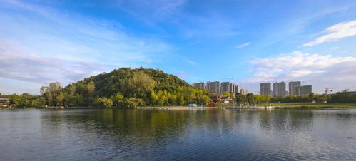 市场价格较高阳泉湖公园：解锁山水之美， 体验城区绿洲