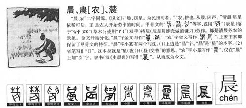 音律和谐：邹、涵、懿。三字声调各异，读起来变化丰富……