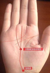 先天弯曲手相的女生，女性手相命理有什么特点？
