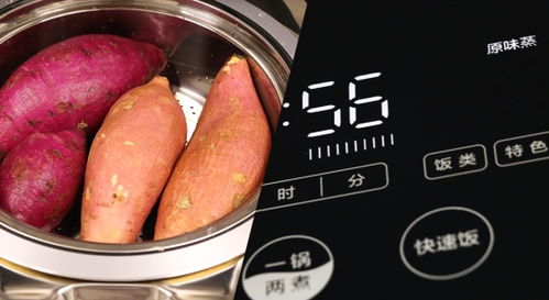 一、生肖配电饭锅——谁和谁相冲相合？