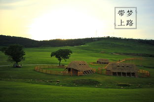 杏树街道牌坊村：另一个油菜花海