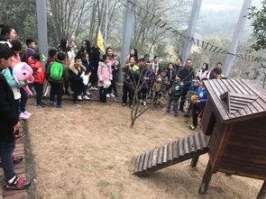 亲子研学， 寓教于乐的旅行体验