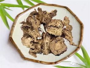 桂枝防风羌活的功效,桂枝防风煎水功效