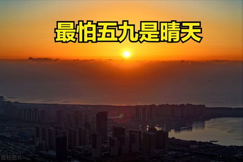 不合时宜的生肖