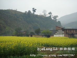 住宿这事儿全靠运气