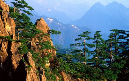 到底怎么买才蕞划算？是不是有套路？