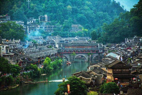 4.1 水塘里的“幽灵鱼”传说