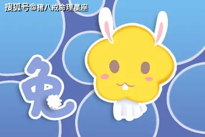 属兔人2026年感情运势如何？下半年感情会有哪些改变？