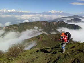元君降临：神秘莫测