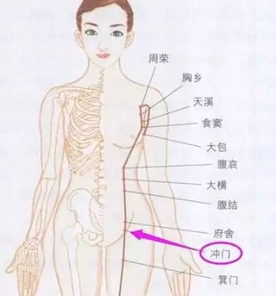 左小臂中间的外侧：诚信带来的机遇