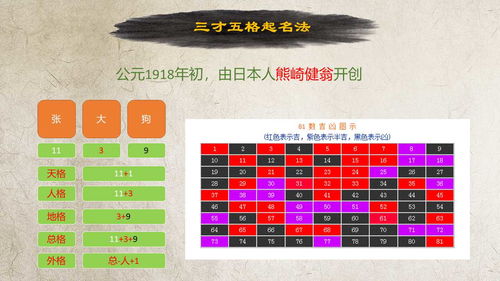 一、名字搭配的艺术创作（或者说……一种奇特的组合方式？）